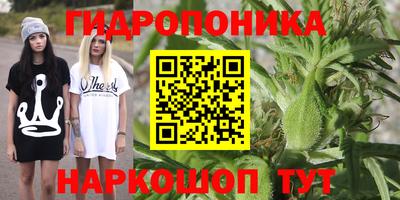 мдма Заводоуковск