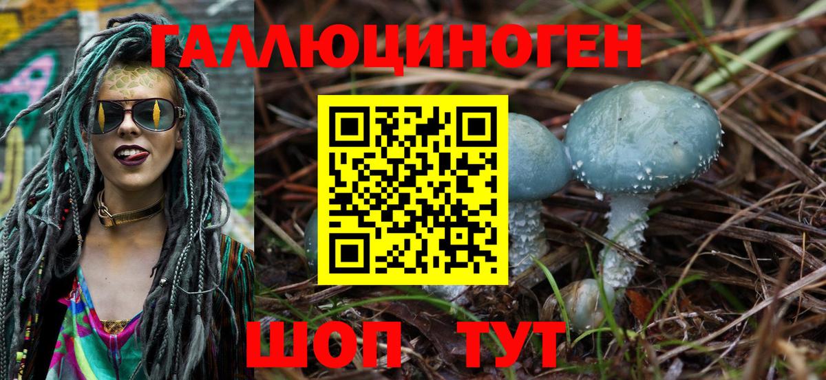 Галлюциногенные грибы прущие грибы Минусинск